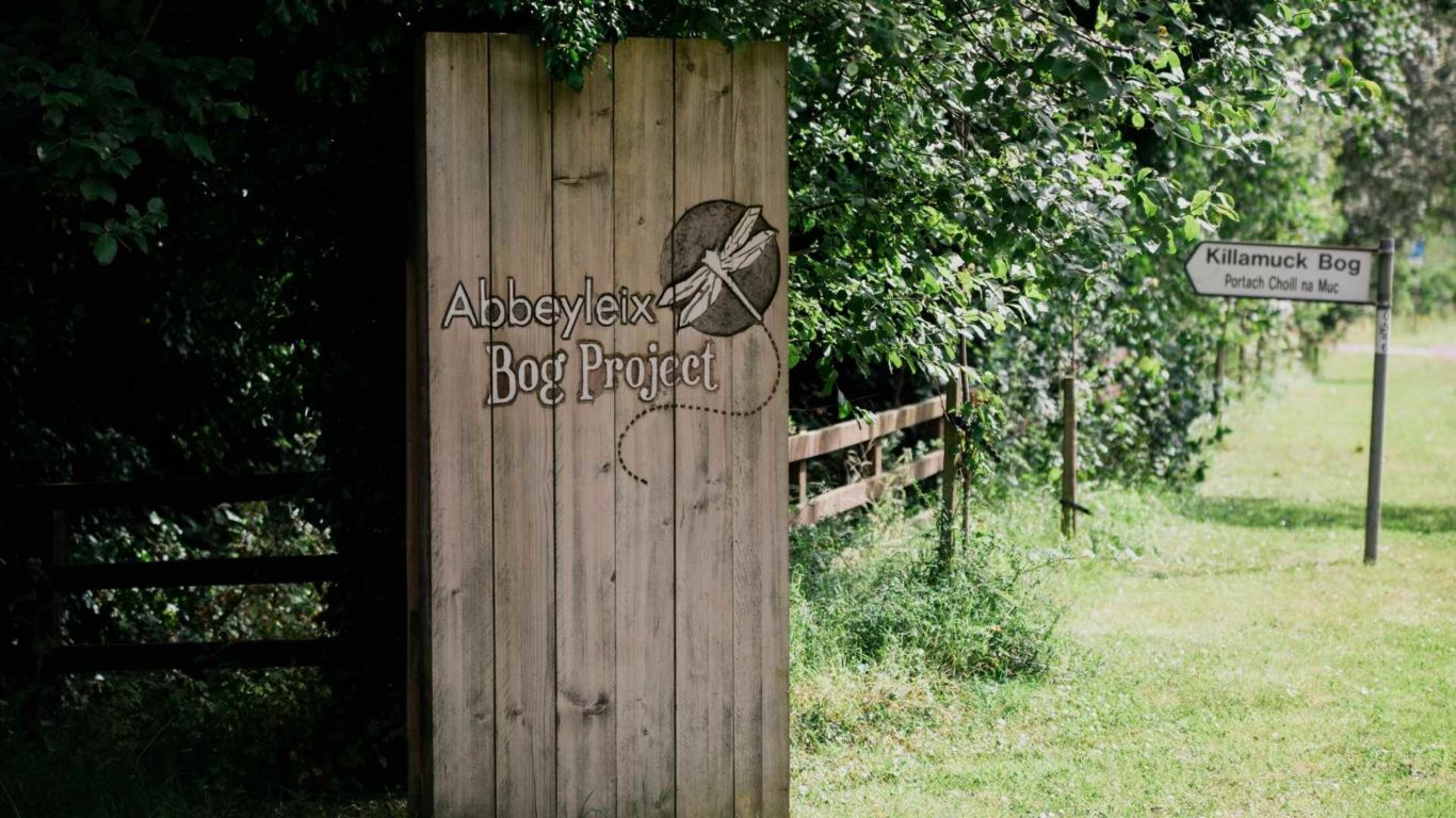 abbeyleix-bog-project
